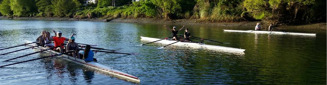 Rowing in Gisborne